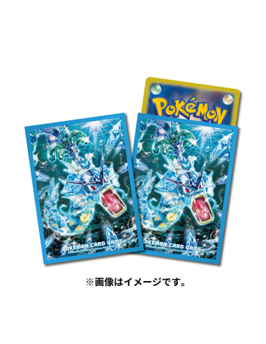 Pokémon Trading Card Game Deck Shield Premium Gross Teratargyarados